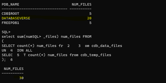 Demystifying Oracle initialization parameters in a multitenant ...